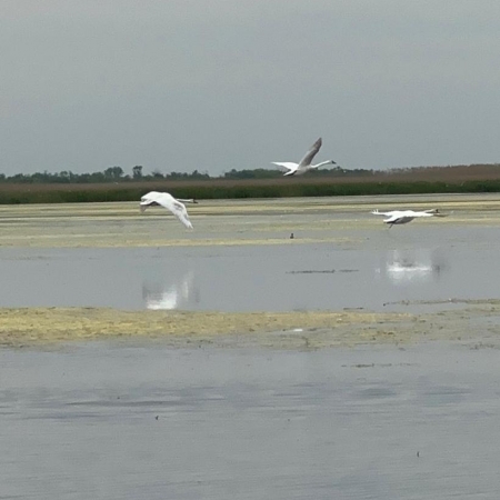 Посмотреть крупнее